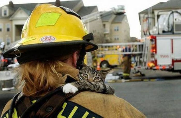 Пожарные и спасенные ими животные (47 фото)