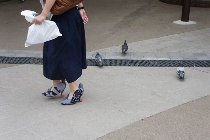Туфли в виде голубей (6 фото)