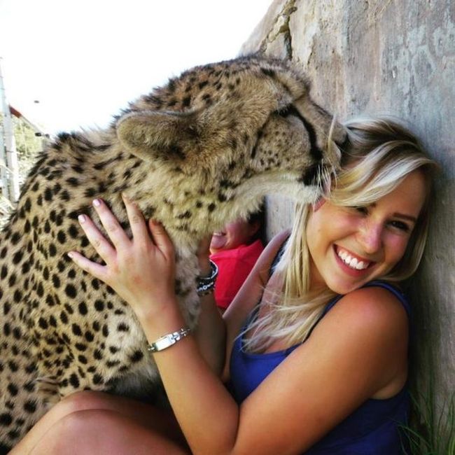 Она спасла котенка гепарда от охотников за трофеями (8 фото)
