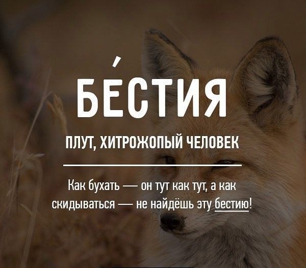 Редкие бранные слова русского языка (20 картинок)