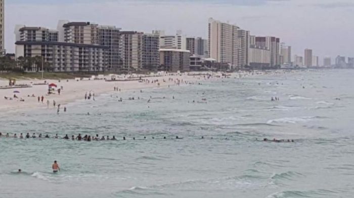 Отдыхающие на пляже выстроились в живую цепь, чтобы спасти утопающих (2 фото + видео)