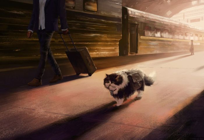 Похождения кота-путешественника (9 картинок)