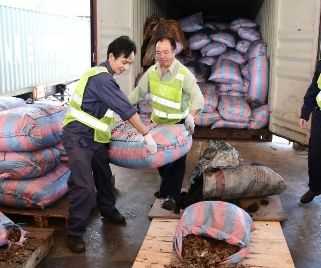 В Китае у браконьеров изъяли 12 тонн чешуи панголинов (7 фото)
