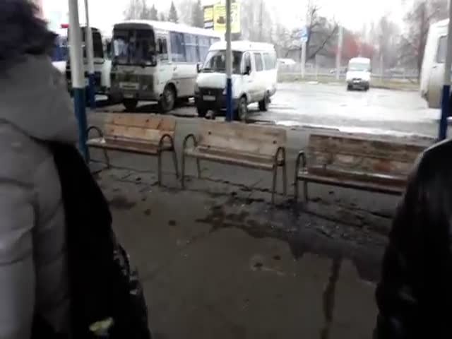 В Ульяновске незрячих людей с собаками-поводырями не пускали в автобус