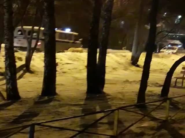 Свердловские полицейские конвоируют пойманного алабая
