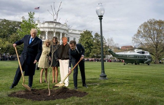 Сажающие дерево Трамп и Макрон стали героями фотожаб (41 фото)