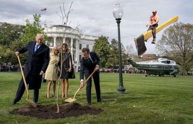 Сажающие дерево Трамп и Макрон стали героями фотожаб (41 фото)
