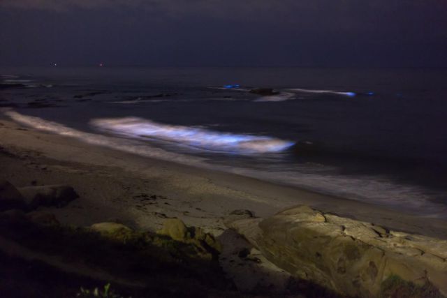 В Калифорнии океан стал светиться голубым цветом (8 фото)
