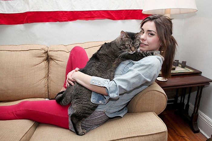 Котозавр Рекс - гигантский домашний кот (10 фото) Котозавр Рекс - гигантский домашний кот (10 фото)
