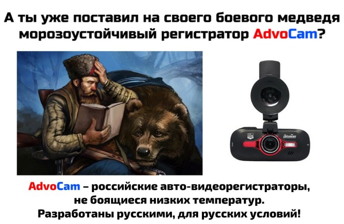 Их хочет весь мир (22 фото) Их хочет весь мир (22 фото)