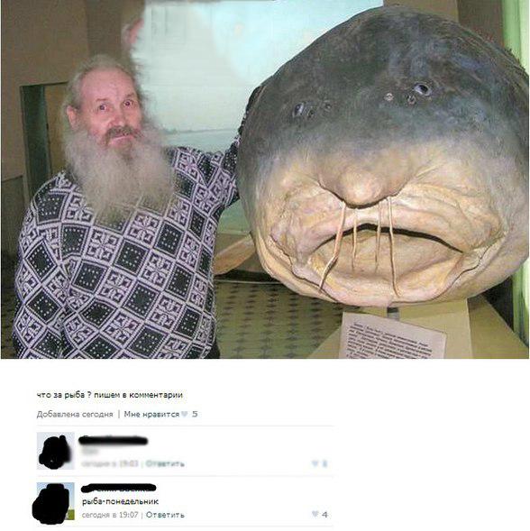 Смешные смс-диалоги и приколы из социальных сетей (31 картинка) Смешные смс-диалоги и приколы из социальных сетей (31 картинка)