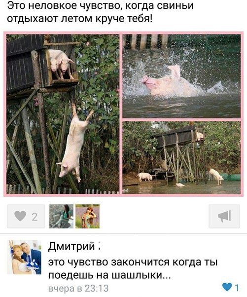 Смешные смс-диалоги и приколы из социальных сетей (25 картинок) Смешные смс-диалоги и приколы из социальных сетей (25 картинок)