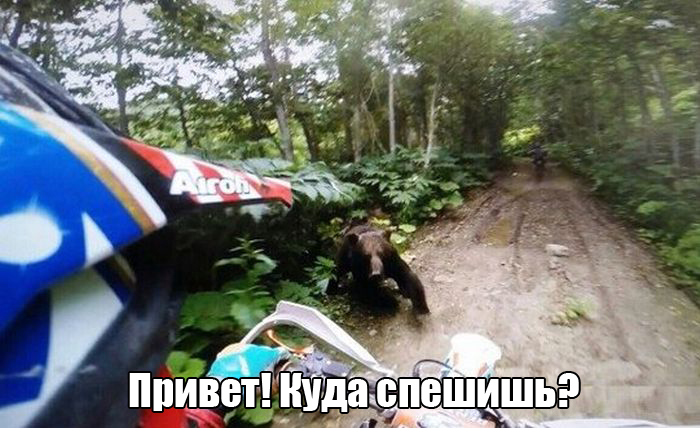 Прикольные картинки. Вечерний выпуск (53 фото) Прикольные картинки. Вечерний выпуск (53 фото)