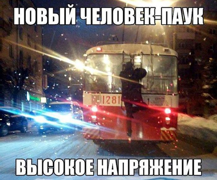 Прикольные картинки. Вечерний выпуск (60 фото) Прикольные картинки. Вечерний выпуск (60 фото)