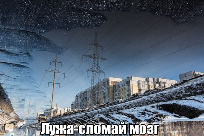 Прикольные картинки. Дневной выпуск (53 фото) Прикольные картинки. Дневной выпуск (53 фото)