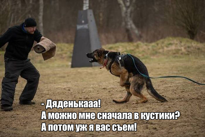 Прикольные картинки. Дневной выпуск (59 фото) Прикольные картинки. Дневной выпуск (59 фото)