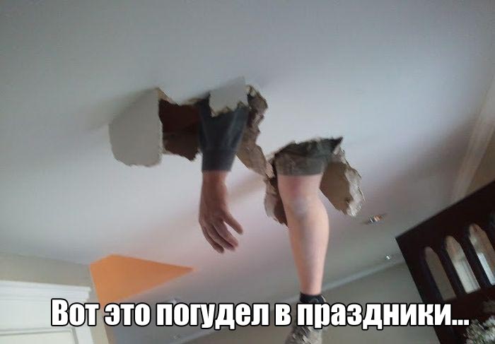Прикольные картинки. Дневной выпуск (50 фото) Прикольные картинки. Дневной выпуск (50 фото)