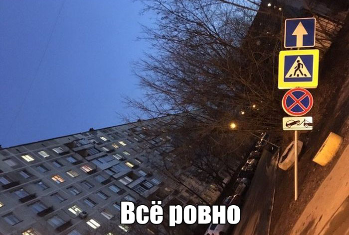 Прикольные картинки. Дневной выпуск (60 фото) Прикольные картинки. Дневной выпуск (60 фото)