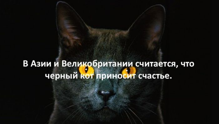 Интересные факты для любознательных (30 картинок) Интересные факты для любознательных (30 картинок)