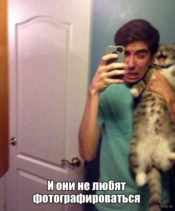 Вещи, которые до боли знакомы всем кошатникам (20 фото) Вещи, которые до боли знакомы всем кошатникам (20 фото)