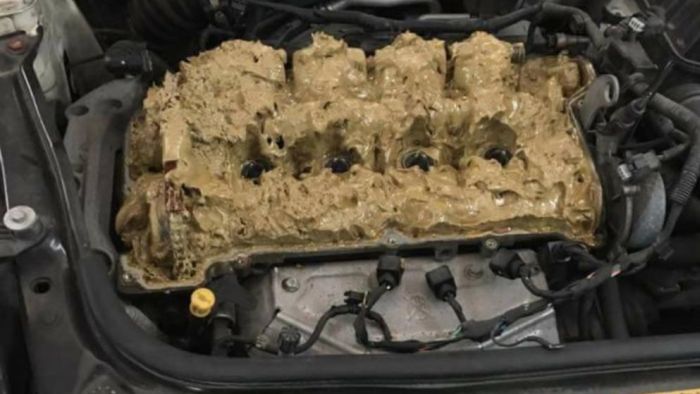 Автоледи залила жидкость стеклоомывателя в двигатель (2 фото) Автоледи залила жидкость стеклоомывателя в двигатель (2 фото)
