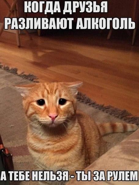 1502542653_prikolnie_kartinki_27.jpg