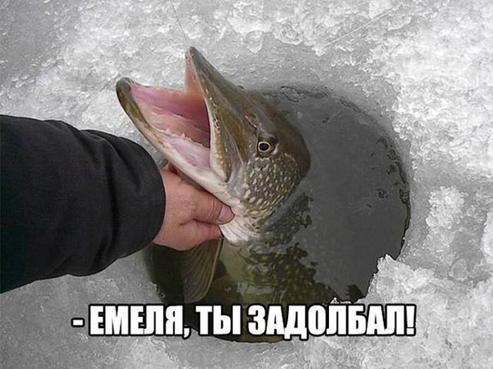 Подборка картинок с надписями (30 фото) Подборка картинок с надписями (30 фото)