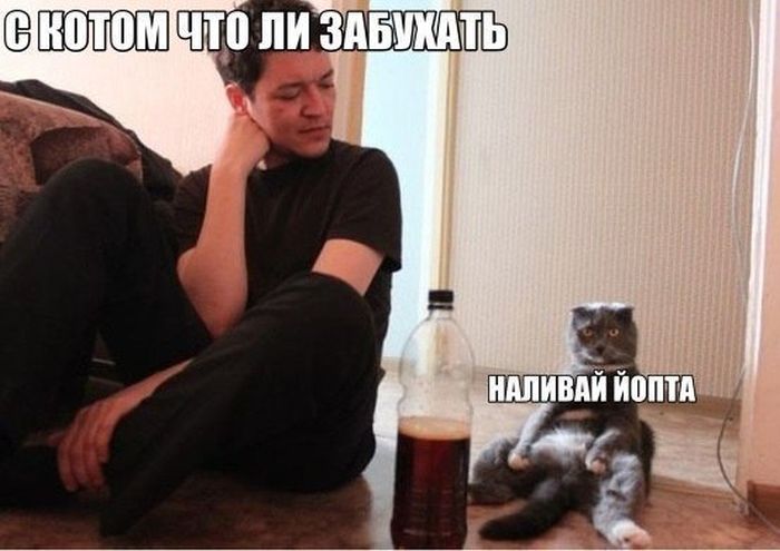 Подборка картинок с надписями (30 фото) Подборка картинок с надписями (30 фото)