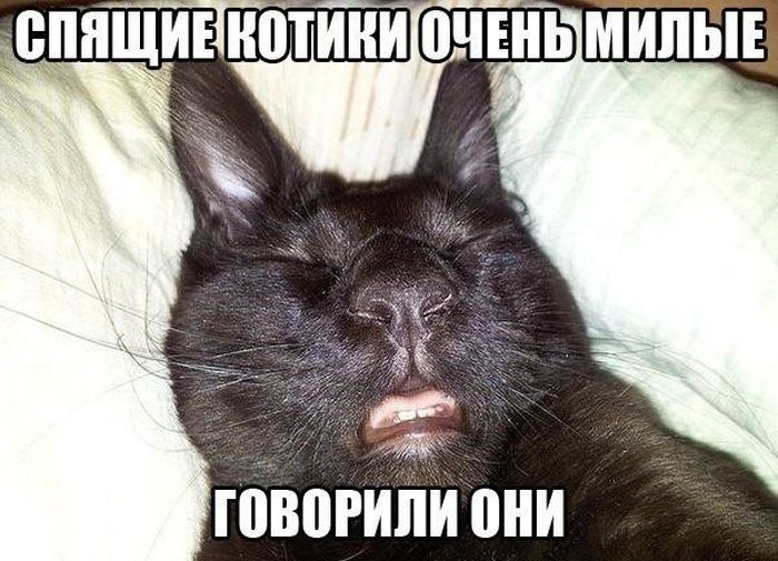 Подборка картинок с надписями (30 фото) Подборка картинок с надписями (30 фото)