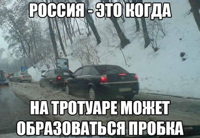 Подборка веселых картинок с подписями (20 фото) Подборка веселых картинок с подписями (20 фото)