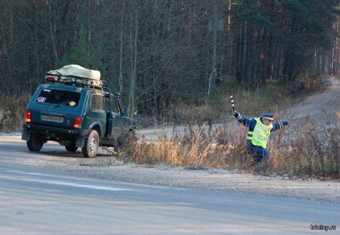 ГАИшники: Грамотную засаду на водителей устроить не просто (10 фото) ГАИшники: Грамотную засаду на водителей устроить не просто (10 фото)