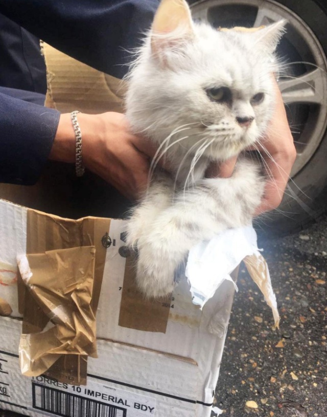 В Казани эвакуировали жилой дом из-за подозрительной коробки (4 фото) В Казани эвакуировали жилой дом из-за подозрительной коробки (4 фото)