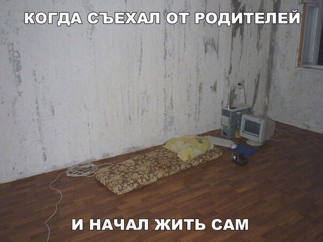 Прикольные картинки с текстом (20 фото) Прикольные картинки с текстом (20 фото)