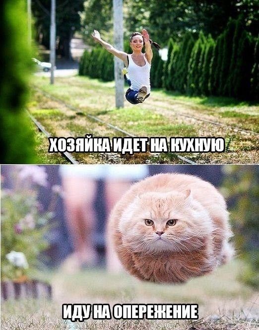Забавные картинки с креативными подписям (20 фото) Забавные картинки с креативными подписям (20 фото)