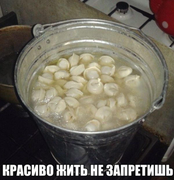 Забавные картинки с креативными подписям (20 фото) Забавные картинки с креативными подписям (20 фото)