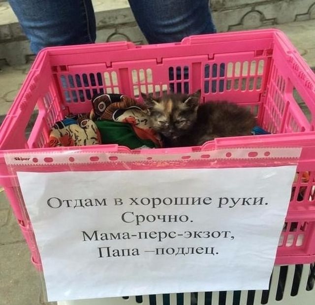 Подборка картинок с надписями (20 фото) Подборка картинок с надписями (20 фото)
