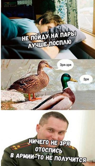 Смешные картинки с текстом (20 фото) Смешные картинки с текстом (20 фото)