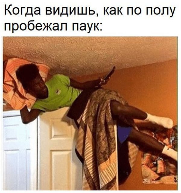 Смешные картинки с текстом (20 фото) Смешные картинки с текстом (20 фото)