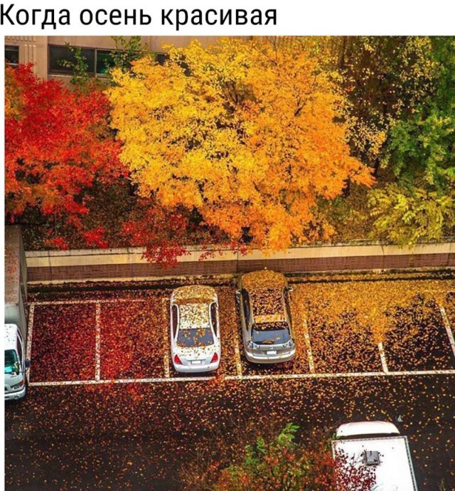 Смешные картинки с текстом (20 фото) Смешные картинки с текстом (20 фото)