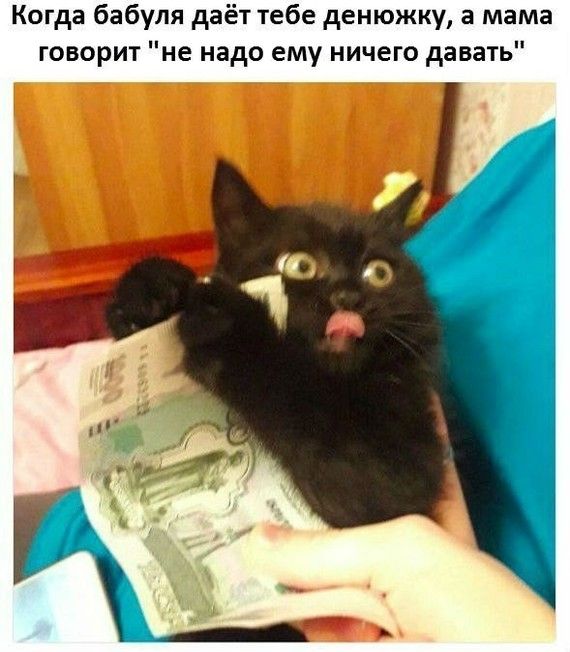 1519548040_kartinki_05.jpg
