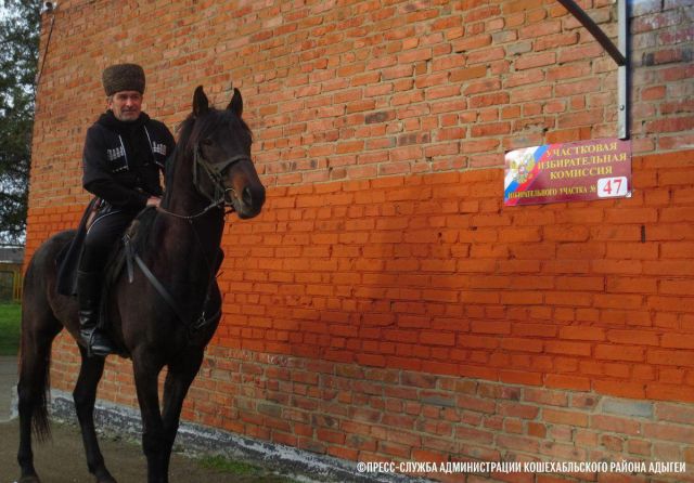 Выборы-2018. Немного юмора в серьезный день Выборы-2018. Немного юмора в серьезный день