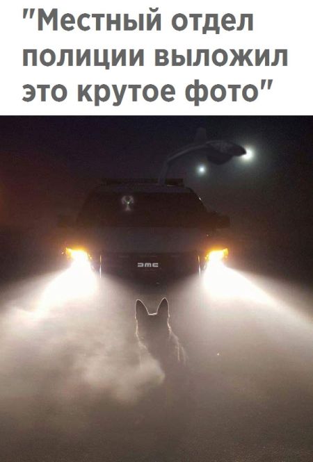 Смешные картинки с подписями (20 картинок) Смешные картинки с подписями (20 картинок)