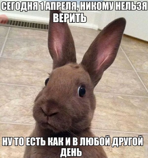 Первоапрельский юмор (20 картинок) Первоапрельский юмор (20 картинок)