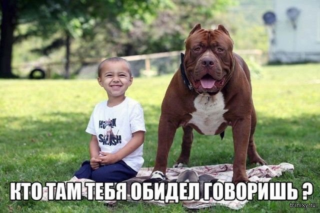 Смешные картинки с подписями (20 картинок) Смешные картинки с подписями (20 картинок)