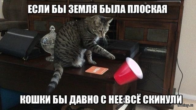 Смешные картинки с подписями (20 картинок) Смешные картинки с подписями (20 картинок)