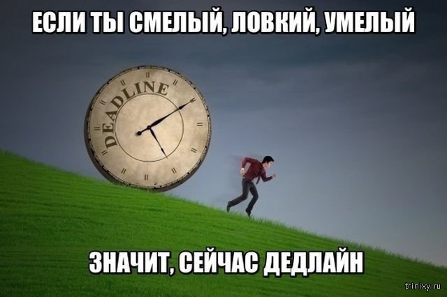 Смешные картинки с подписями (20 картинок) Смешные картинки с подписями (20 картинок)