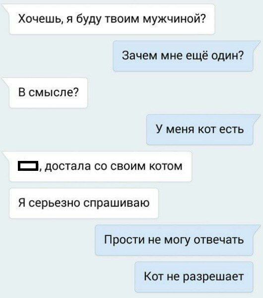 Смешные картинки с подписями (20 фото) Смешные картинки с подписями (20 фото)