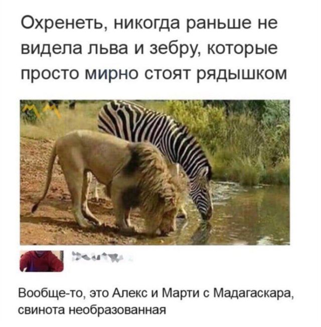 Подборка картинок (20 фото) Подборка картинок (20 фото)
