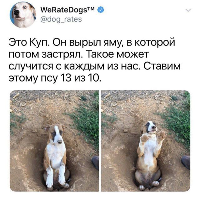 Подборка картинок (20 фото) Подборка картинок (20 фото)