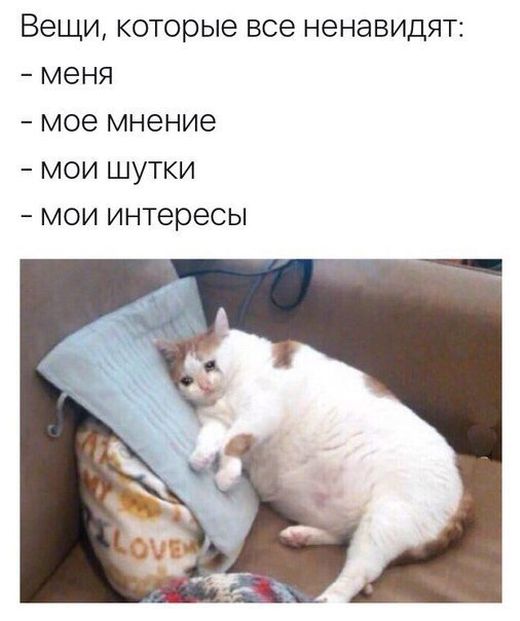 Прикольные картинки (20 фото) Прикольные картинки (20 фото)